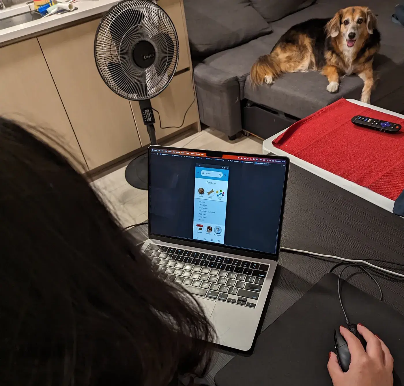 User Testing — Bia